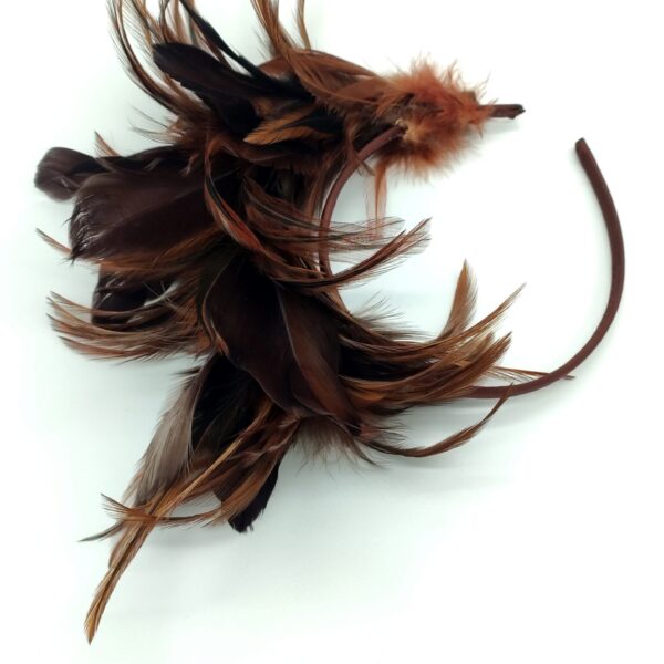 Diadema Feathers